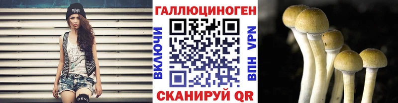 Псилоцибиновые грибы мицелий  Тюкалинск 